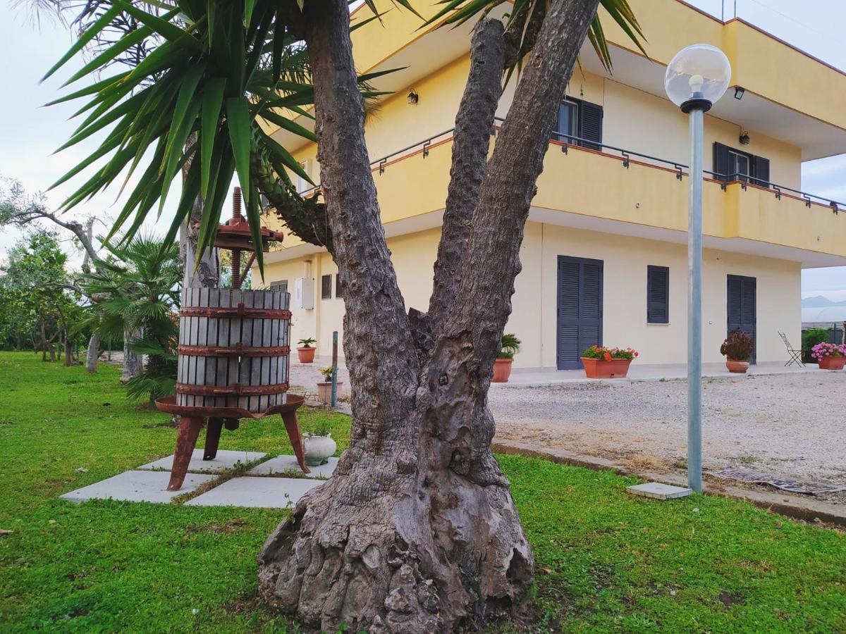 Casa Vacanze Paradise Santa Maria La Carità Exterior foto